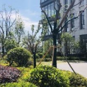 联东U谷政府推荐园区，1000平−4500平高标